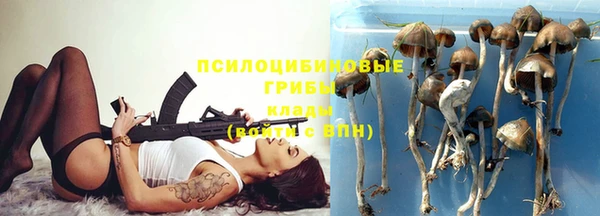 MESCALINE Козельск