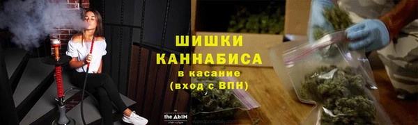 PSILOCYBIN Аркадак