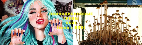 крисы Кодинск