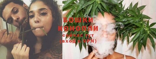 крисы Кодинск