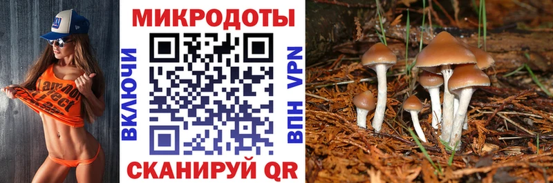 Псилоцибиновые грибы GOLDEN TEACHER  купить   Усинск 